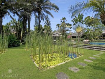 Villa Zeli Bali - Garden 5