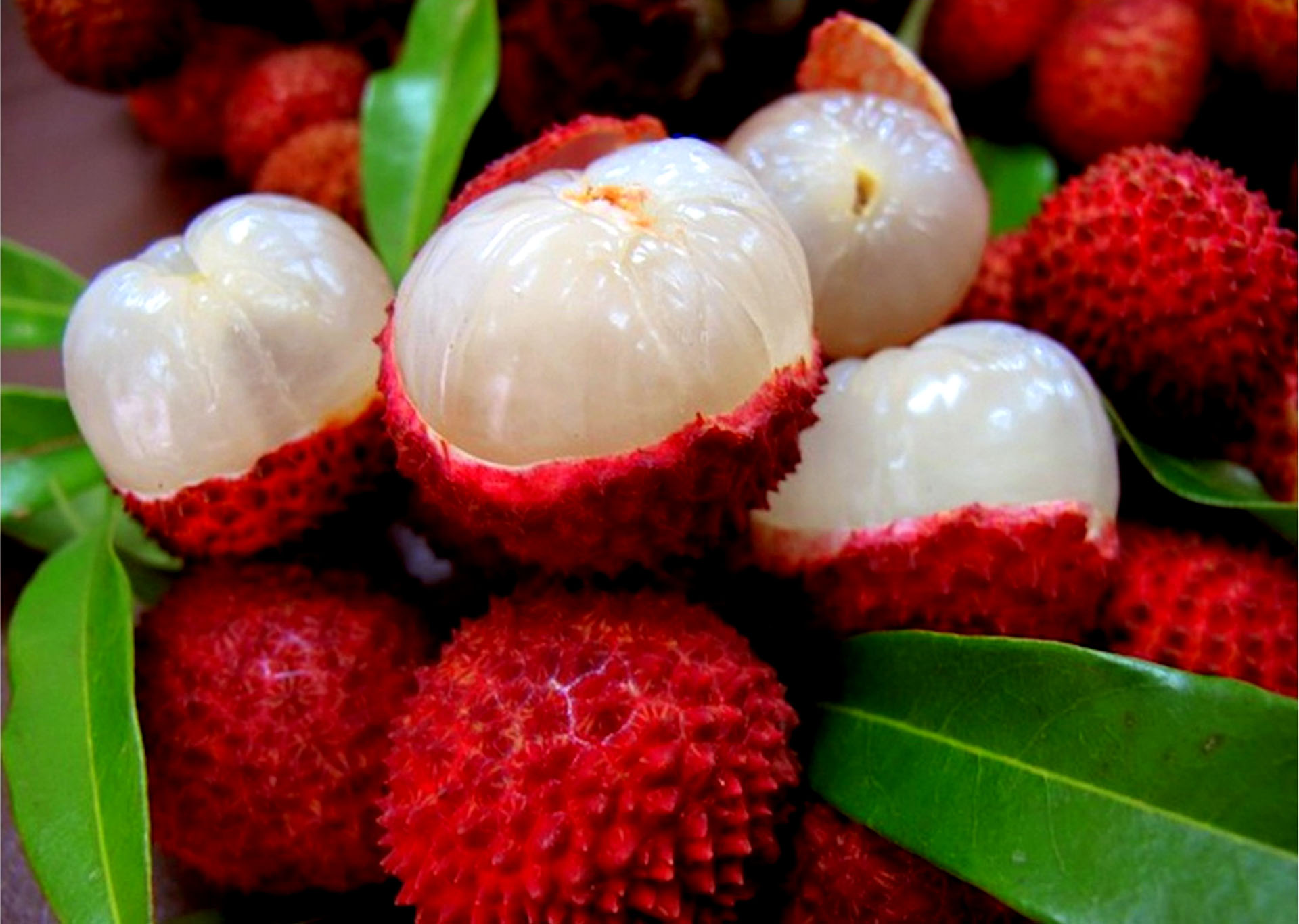 Top 12 Tropical Fruits to Eat When in Thailand