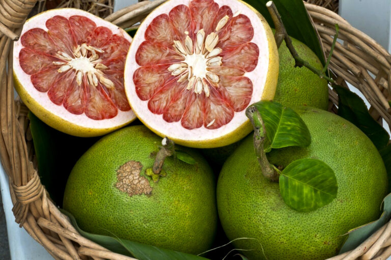 Top 12 Tropical Fruits to Eat When in Thailand