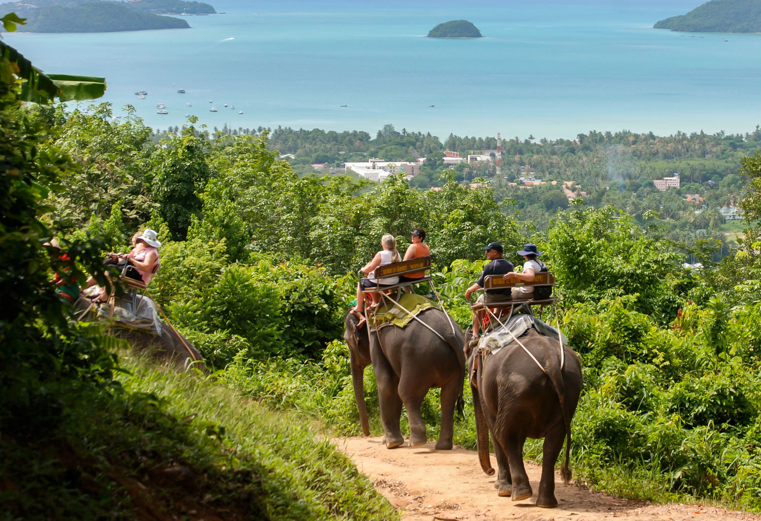 10 Exotic Things to Do when in Thailand