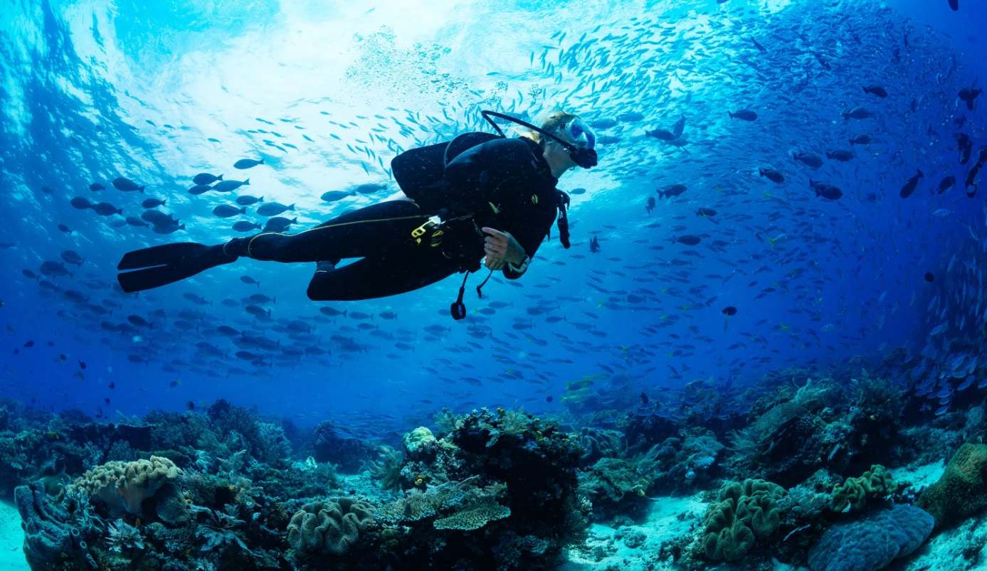 Scuba Diving