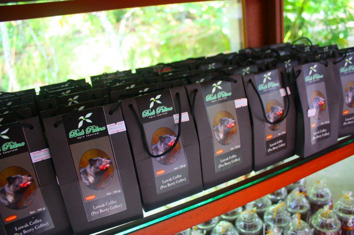 Kopi Luwak Coffee