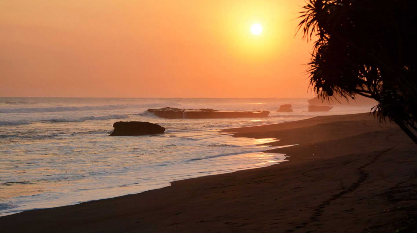 Interesting facts about Bali Interesting facts about Bali