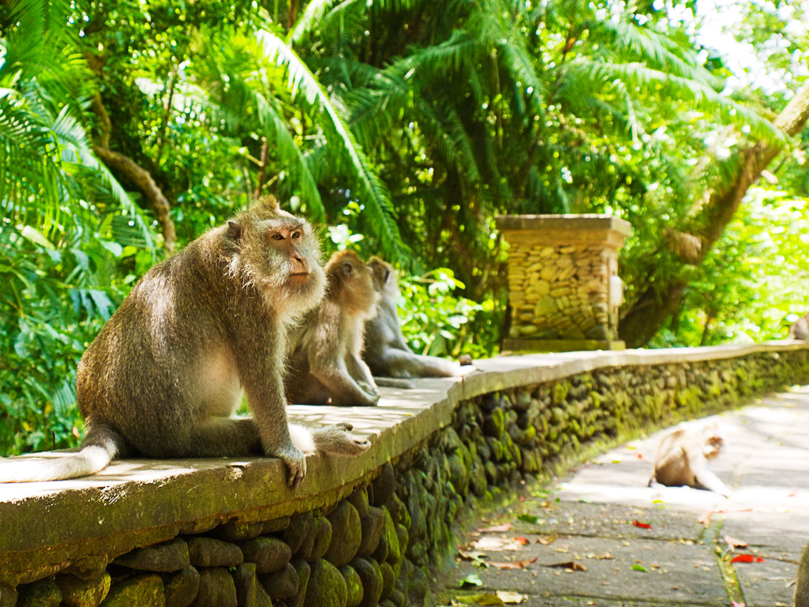 8 Natural Wonders in Bali, Indonesia - The