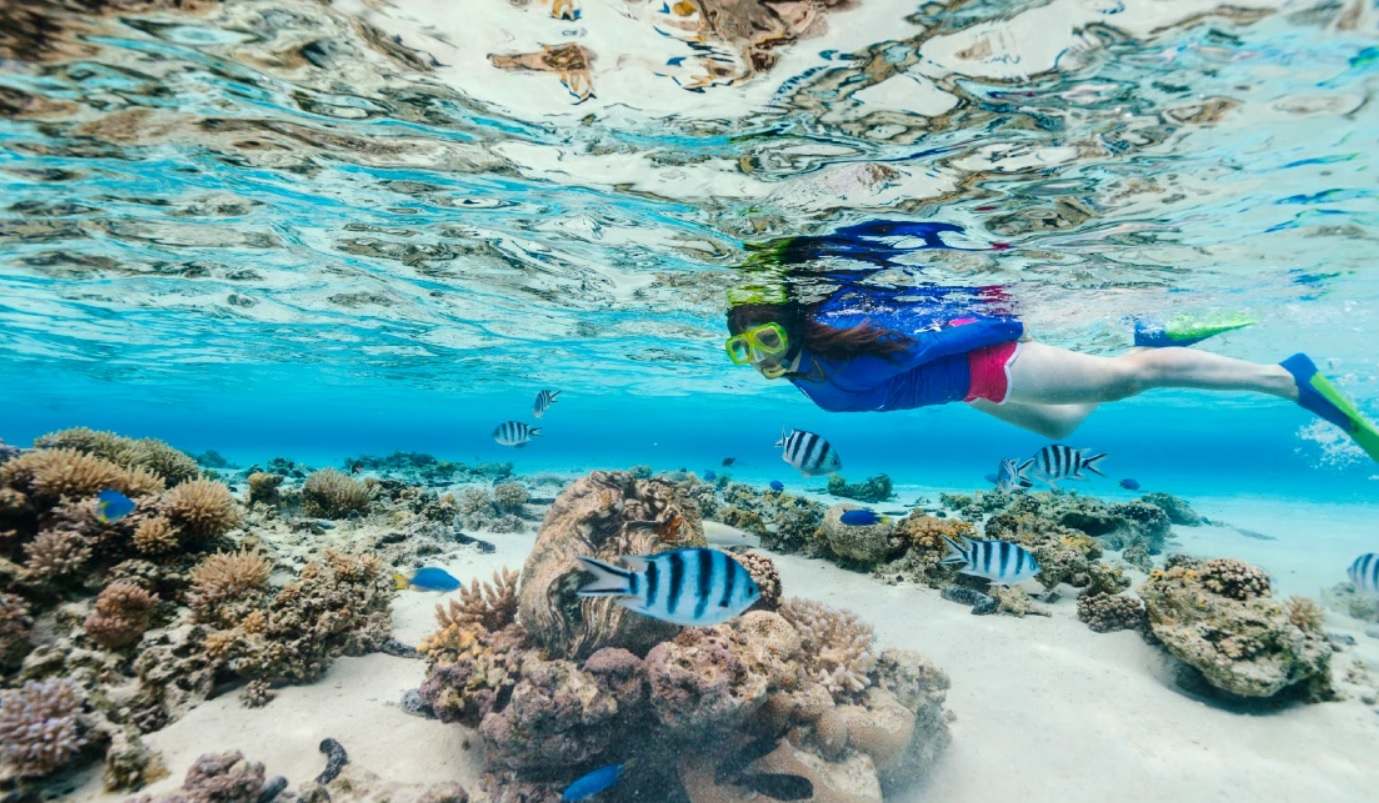 Snorkeling in Koh Tao