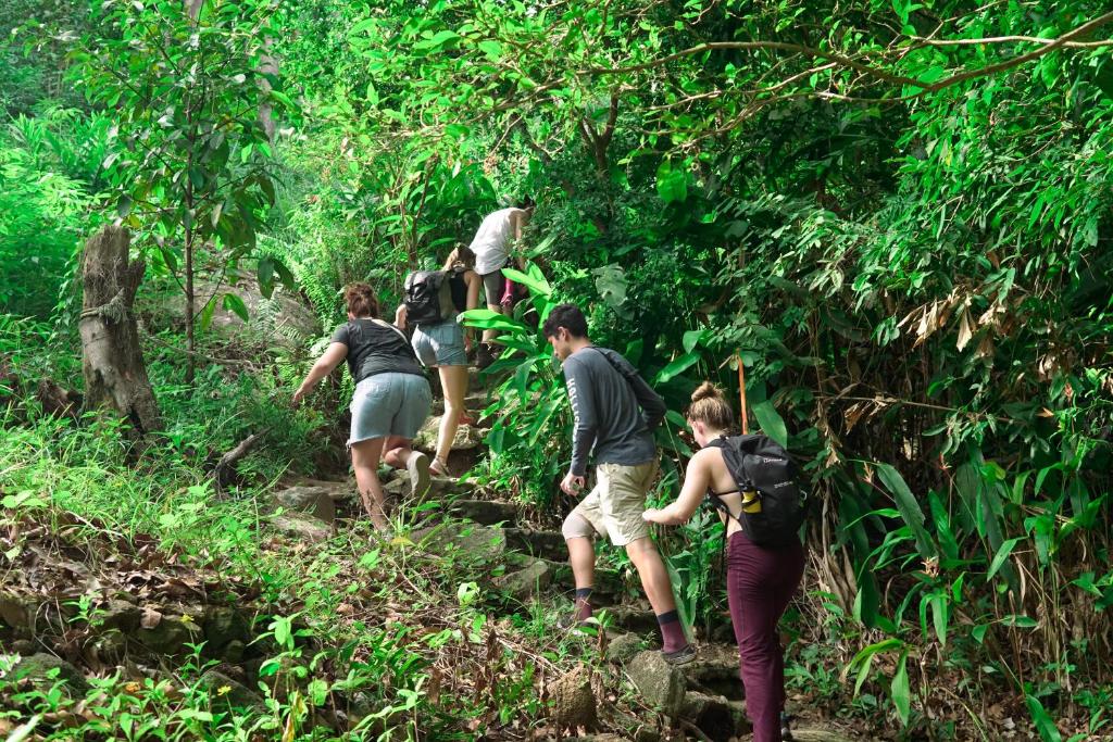 Jungle Trekking in Koh Samui