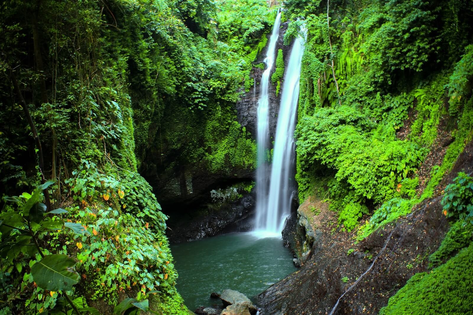 Cliff Jumping at Aling-Aling Waterfall