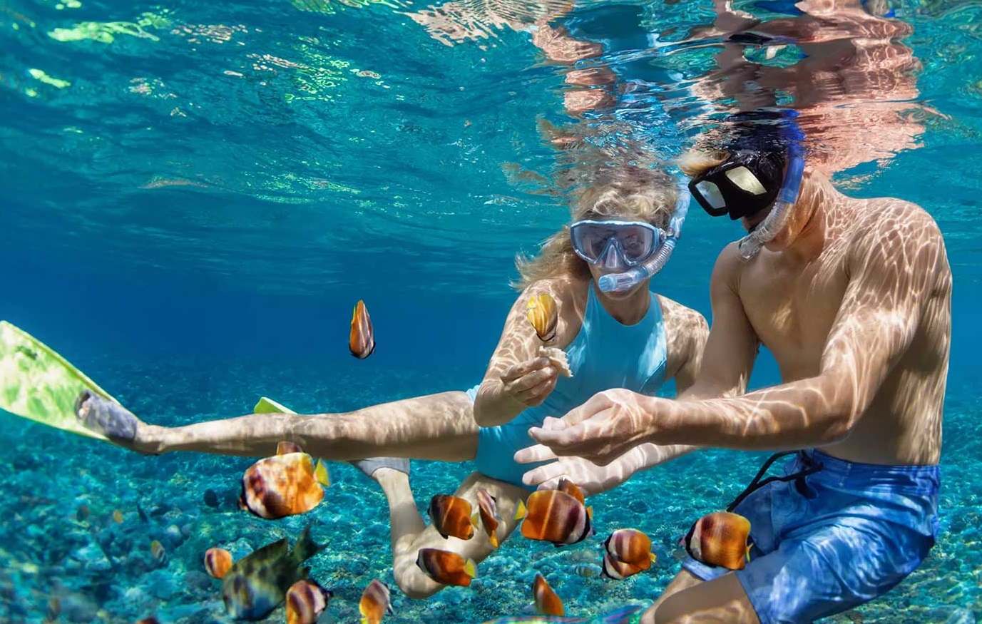 Snorkeling from a Private Yacht in Nusa Penida