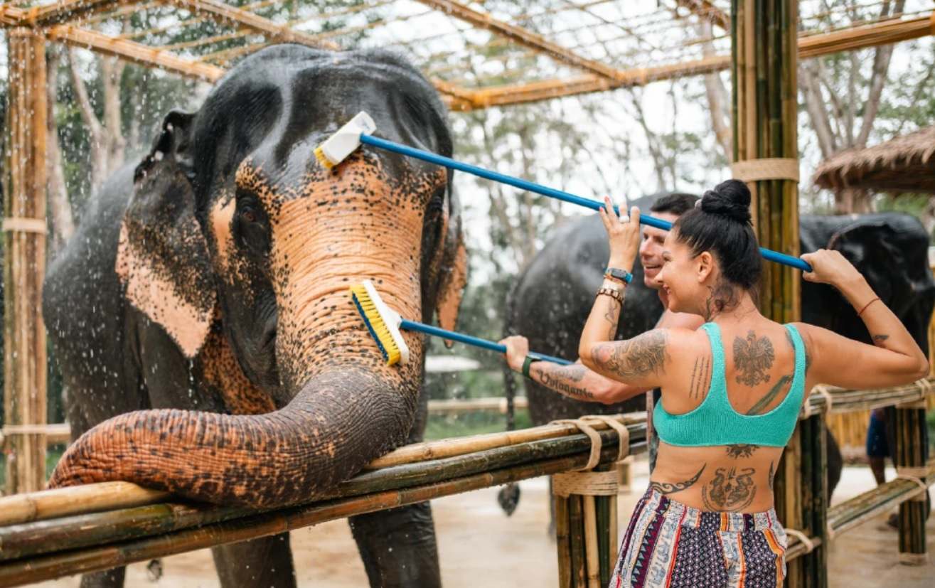 Ethically Run Elephant Sanctuary